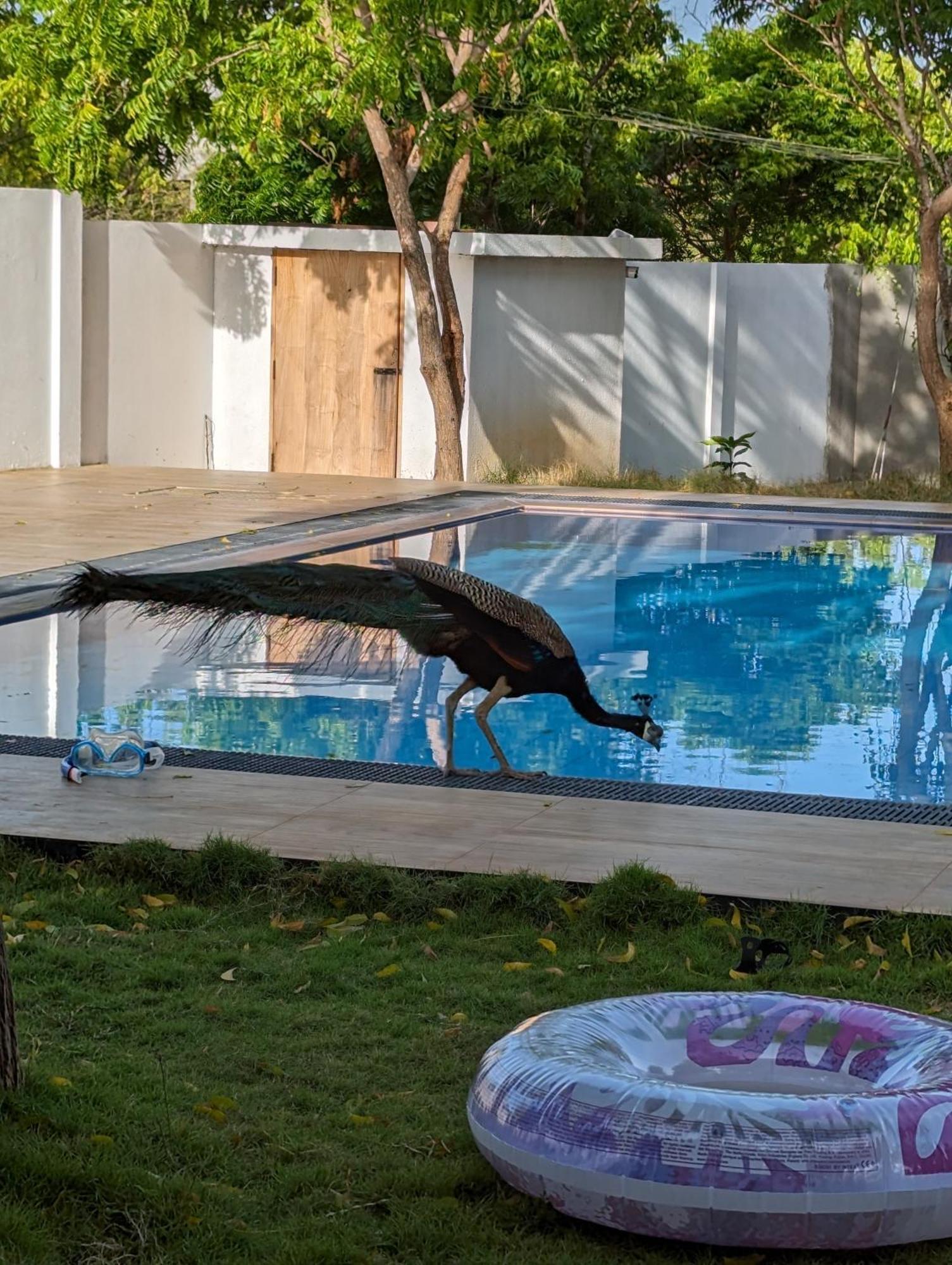 Kirinda Heaven - Yala Otel Dış mekan fotoğraf
